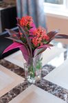 Fresh flowers on your table.